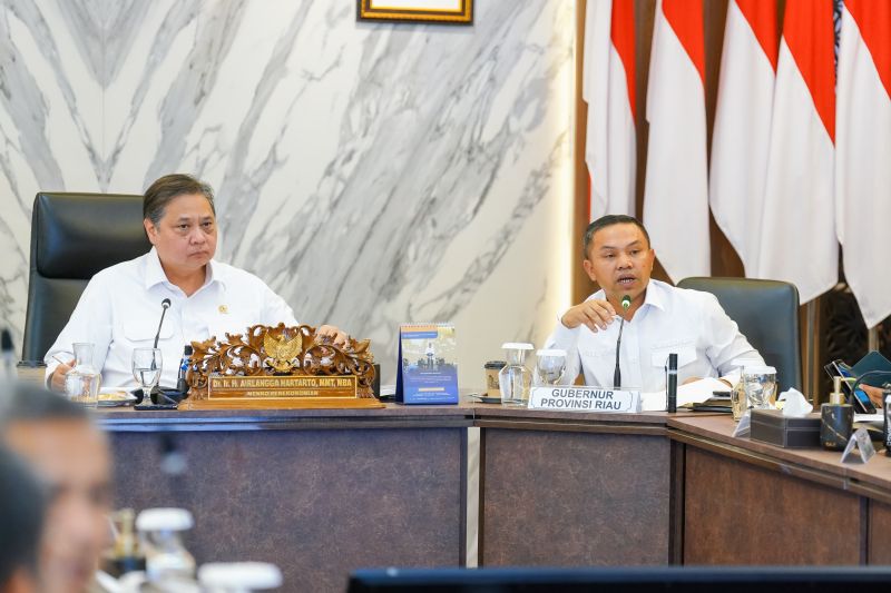 menko-airlangga-minta-pemprov-riau-buat-kajian-potensi-industri-lokal