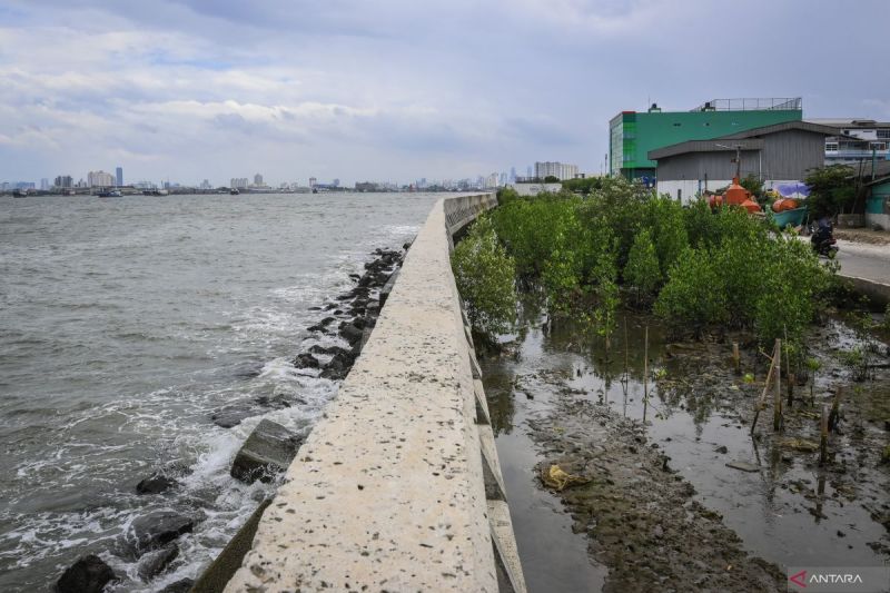 kemenko-ipk-terus-menjalin-koordinasi-terkait-proyek-giant-sea-wall