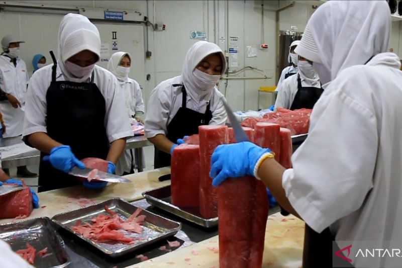 mendag-lepas-ekspor-tuna-asal-sumbar-ke-uea-senilai-rp187-miliar