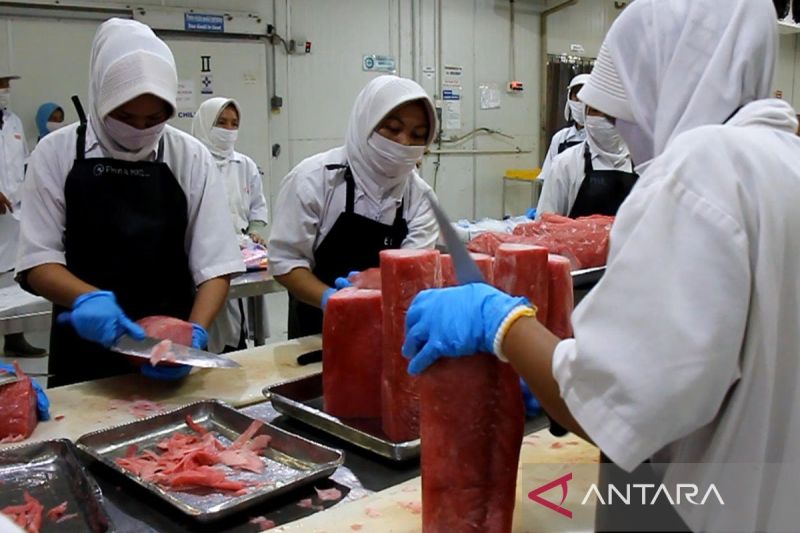 mendag-lepas-ekspor-tuna-asal-sumbar-ke-uea-senilai-rp187-miliar