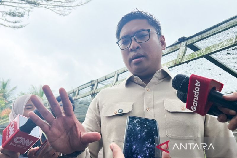 serapan-gabah-capai-2-juta-ton-setara-beras-perkuat-cbp
