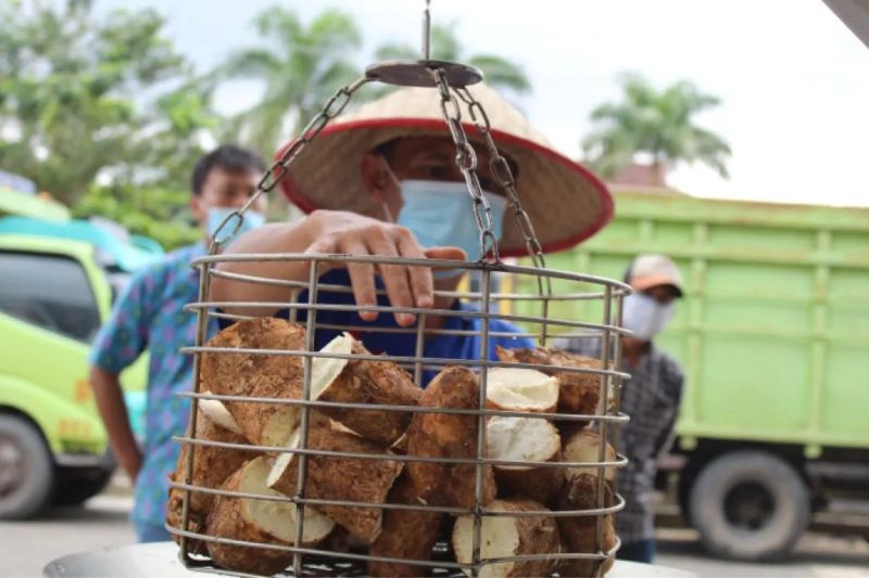 kemendag-siap-bahas-pembatasan-impor-singkong-dan-tapioka