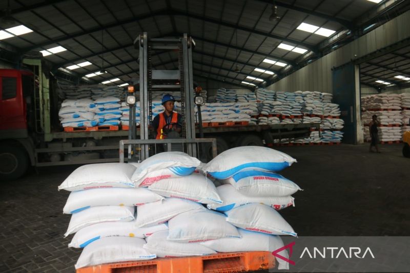 serapan-pupuk-subsidi-di-jawa-timur-capai-31-persen-dari-alokasi