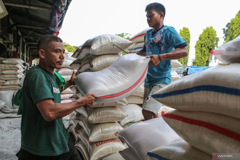 Mengukir sejarah baru perberasan di Indonesia