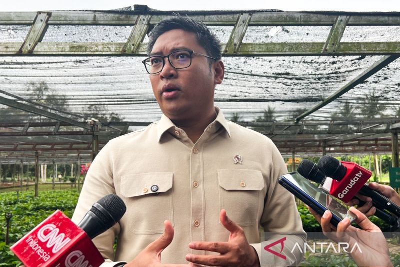 wamentan-pastikan-stok-dan-harga-pangan-terkendali-jelang-idul-adha