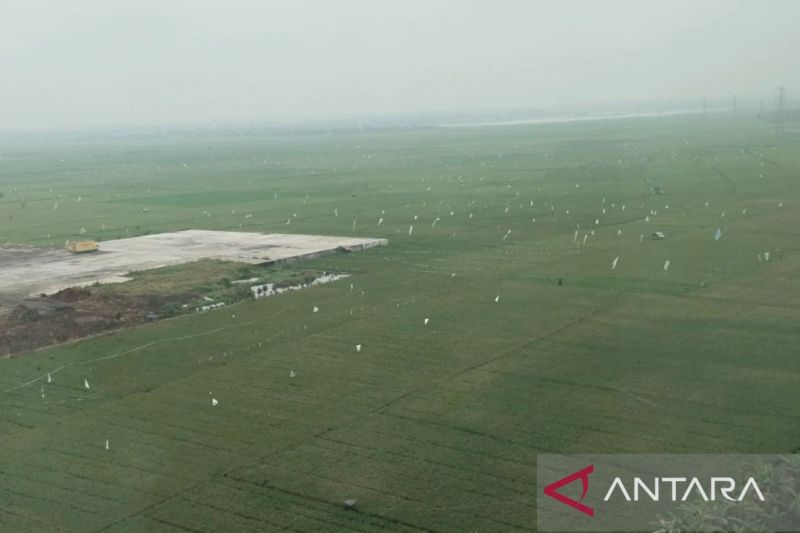 anggota-dpr-khawatirkan-berkurangnya-lahan-sawah-dan-hutan-karawang