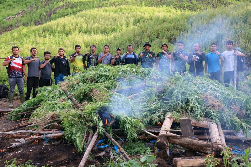 apa-hukuman-bagi-pengguna-ganja-di-indonesia-simak-ulasannya