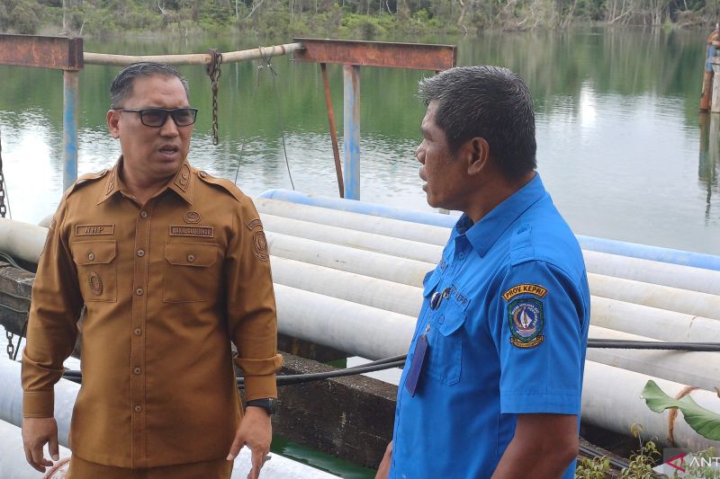 pemprov-kepri-targetkan-tanam-50-hektare-mangrove-per-tahun