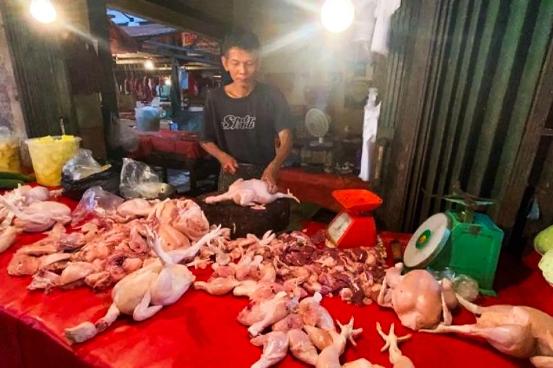 bapanas-harga-bawang-merah-rp38835kg-daging-ayam-rp34993kg