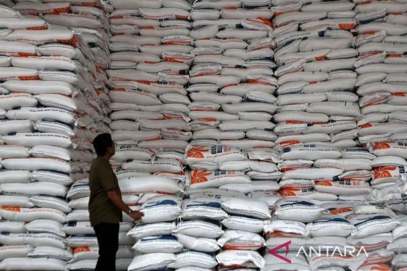 cbp-37-juta-ton-mentan-ri-terdepan-di-asean-dalam-produksi-beras