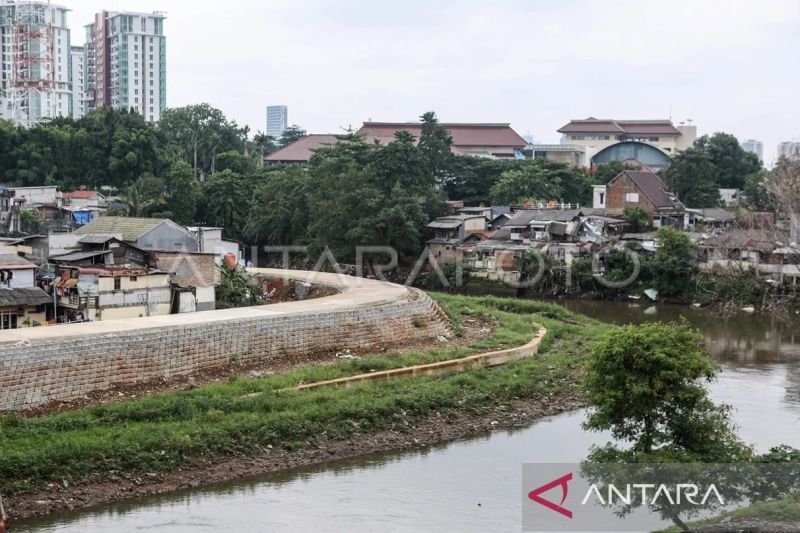 Normalisasi Sungai Ciliwung diminta prioritas untuk kurangi banjir