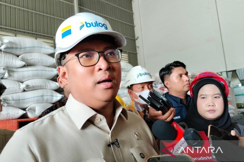 wamentan-tegaskan-bulog-dititikberatkan-untuk-beli-gabah-petani