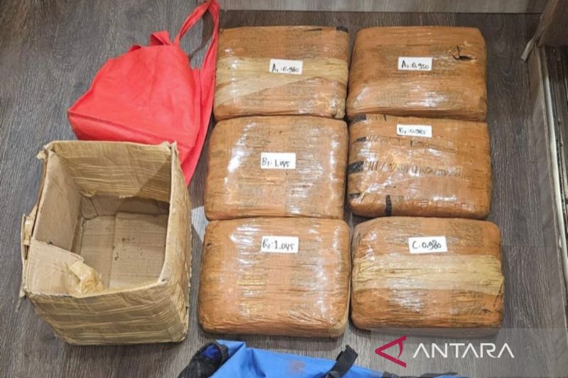 polda-metro-jaya-gagalkan-peredaran-ganja-seberat-6-kg-di-jaktim