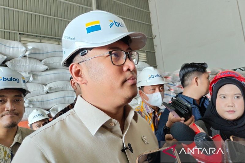 wamentan-harga-beras-dunia-turun-karena-indonesia-tidak-impor-beras