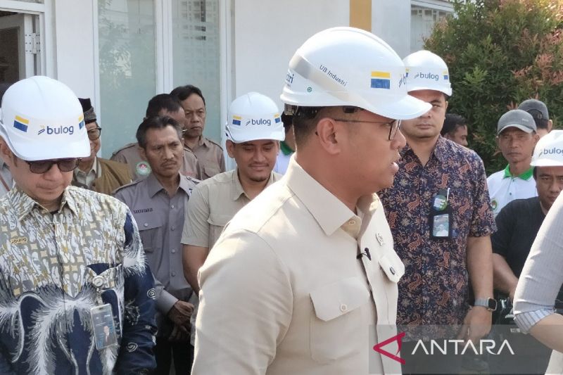 Wamentan: Indonesia siap mengekspor beras ke Malaysia