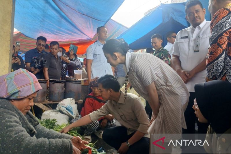 wapres-gibran-membeli-sayuran-di-pasar-rakyat-dolok-sanggul