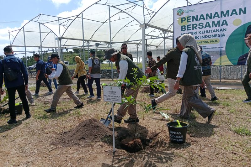 produksi-bibit-pada-2025-di-persemaian-mandalika-ditargetkan-15-juta