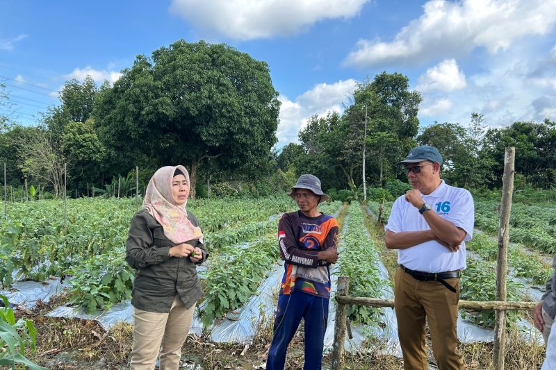 pertagas-tingkatkan-ekonomi-petani-melalui-program-permata-borneo