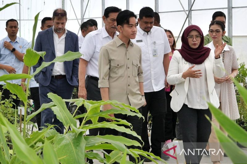 wapres-gibran-apresiasi-inovasi-riset-dan-hilirisasi-produk-herbal