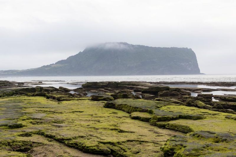 Unveiling the Crisis of Plastic Pollution: Analyzing Its Profound Impact on the Environment