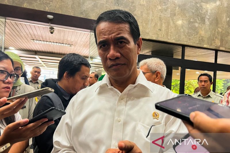 mentan-amran-usulkan-pengendalian-impor-singkong-dan-turunannya