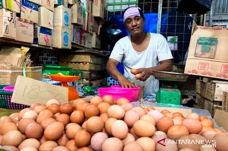 bapanas-catat-harga-telur-ayam-rp28650kg-bawang-merah-rp37575kg