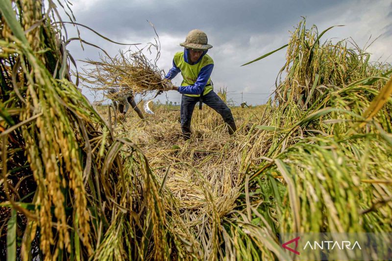 menjaga-ketangguhan-ekonomi-indonesia-di-tengah-gejolak-global