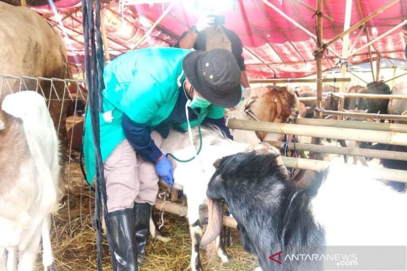 Jakut salurkan hewan kurban dari pihak swasta kepada warga