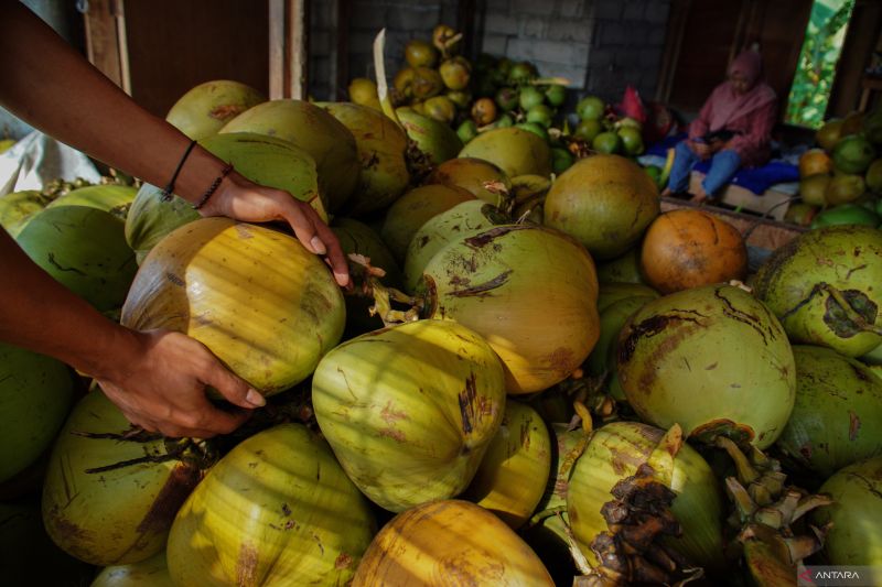 pajak-ekspor-kelapa-mampu-memitigasi-kenaikan-harga-minyak-goreng