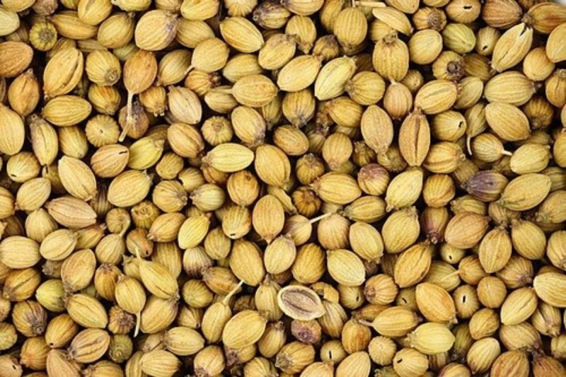 bisa-menjaga-gula-darah-ini-manfaat-ketumbar-untuk-kesehatan