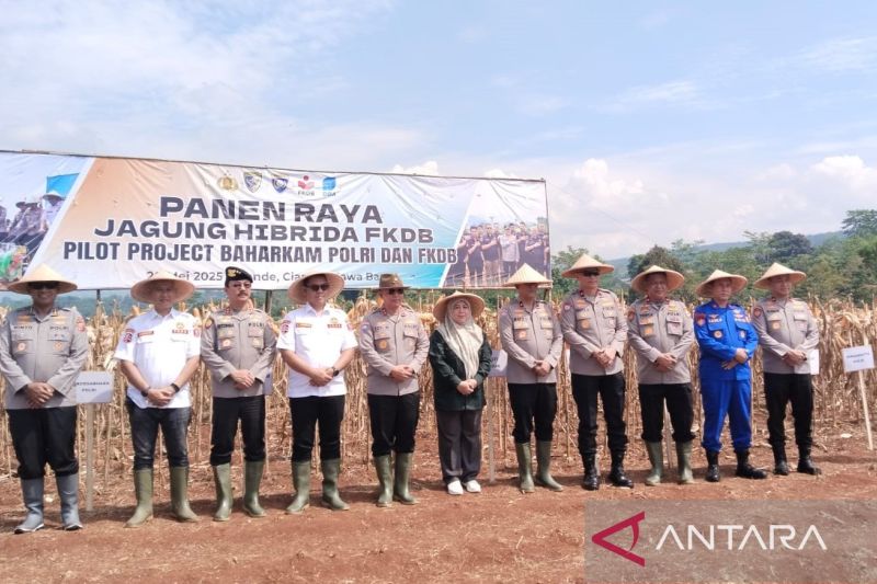 baharkam-polri-panen-raya-jagung-hibrida-di-cianjur-capai-125-ton