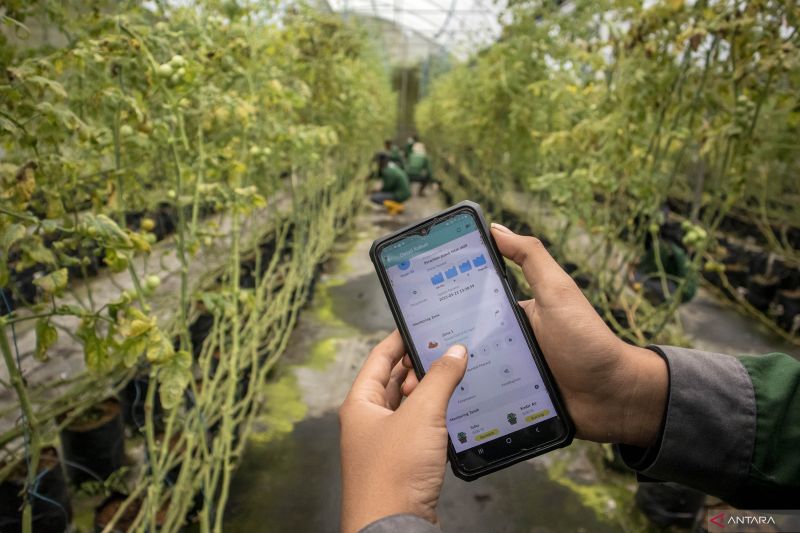 ketika-ai-masuk-lahan-petani-kecil