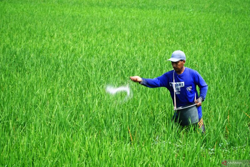 mengukur-efektivitas-perpres-nomor-62025-tentang-pupuk-subsidi