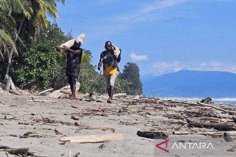 warga-skouw-sae-papua-manfaatkan-kayu-hanyut-untuk-cofiring-biomassa