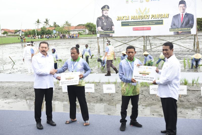 kementan-kejagung-sinergi-manfaatkan-lahan-hasil-sitaan-untuk-ltt