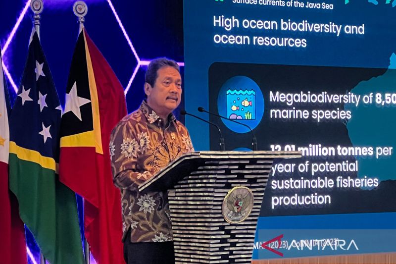 Pemerintah kembangkan inovasi pendanaan lindungi terumbu karang