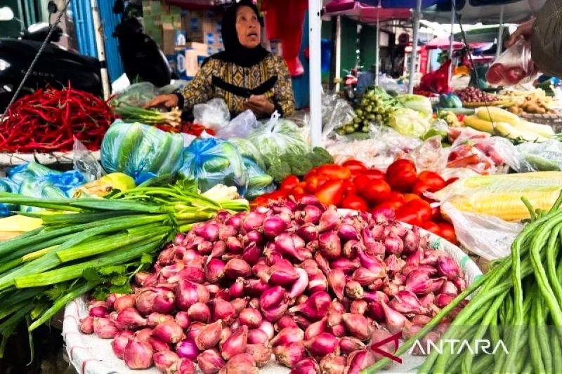 bapanas-harga-bawang-merah-rp36874kg-telur-ayam-rp29067kg