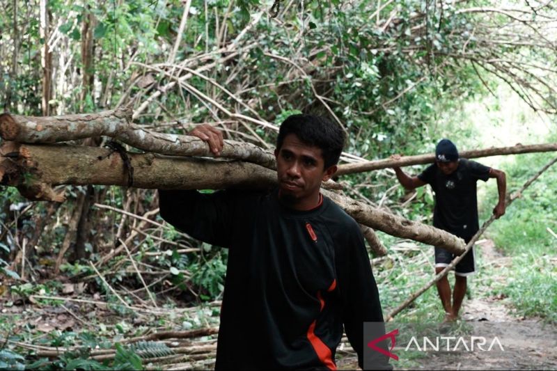 pemkab-konsel-ubah-lahan-tidur-jadi-sumber-ebt-kerakyatan-di-sultra