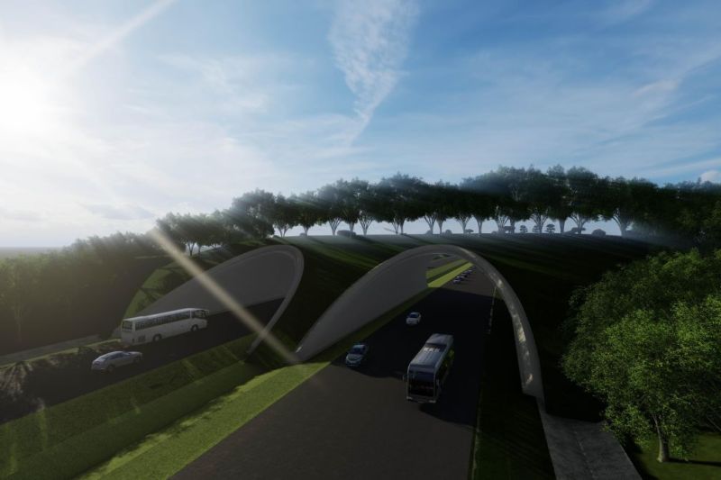waskita-karya-bangun-jembatan-satwa-di-sekitar-tol-ikn-seksi-3b
