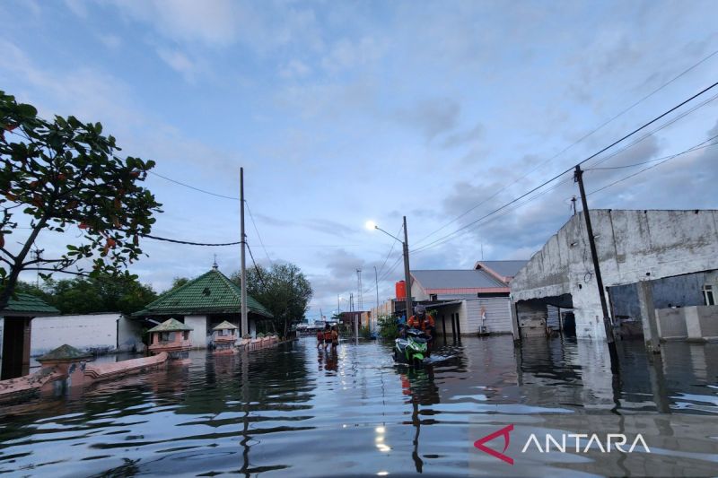 pelindo-aktivitas-pelabuhan-semarang-tidak-terdampak-banjir