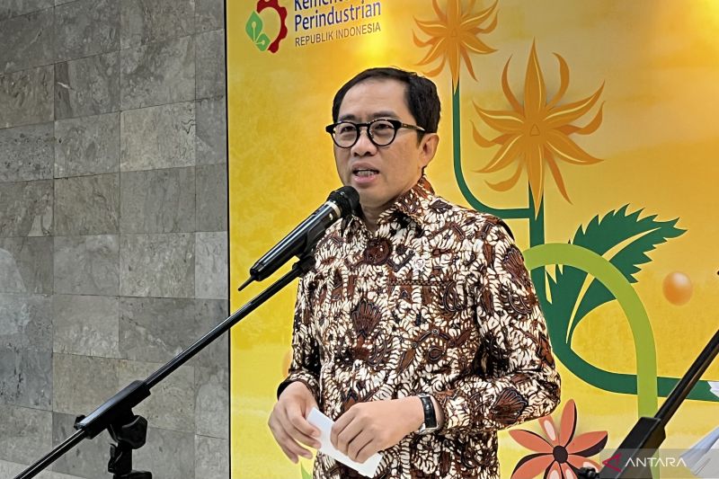 wamenperin-danantara-bantu-stabilkan-iklim-investasi-ekosistem-ev
