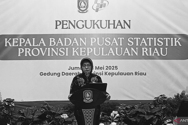 kepala-bps-ingin-data-pdrb-tingkat-kabupatenkota-bisa-per-triwulan