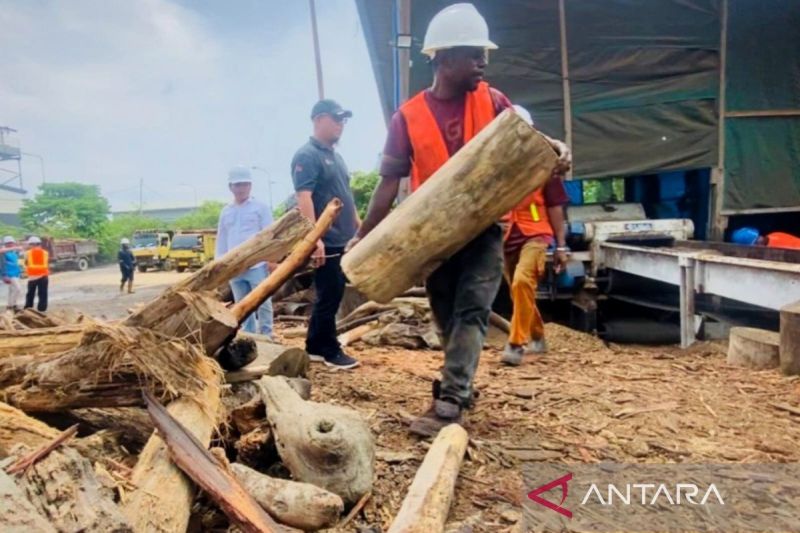 pltu-holtekamp-siap-jadi-solusi-energi-bersih-berkelanjutan-di-papua