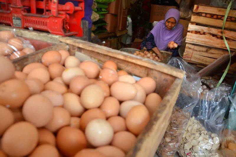 bapanas-harga-telur-ayam-rp28933kg-bawang-merah-rp37407kg