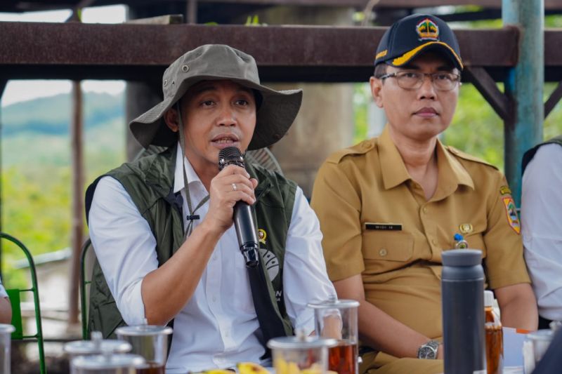 Menhut koordinasikan kebijakan impor minyak kayu putih dengan Mendag