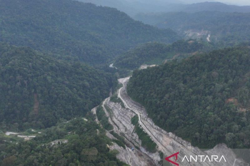 esdm-plta-batang-toru-belum-kantongi-izin-pinjam-pakai-kawasan-hutan