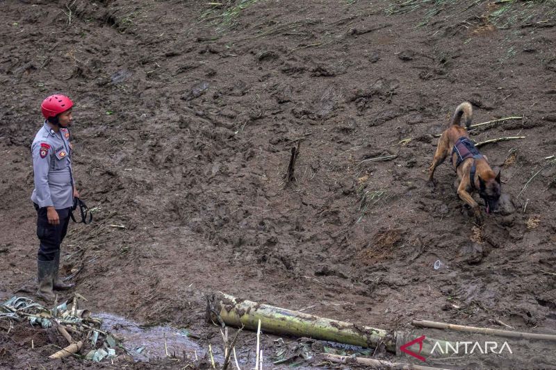 Peringatan dini longsor nasional yang tidak bisa lagi ditunda