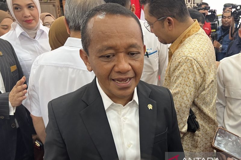 Indonesia akan bangun PLTN kapasitas 250 MW di Sumatera dan Kalimantan