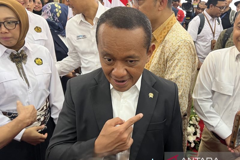 Indonesia-Singapura segera capai kesepakatan soal ekspor listrik