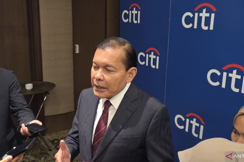 Citi Indonesia ungkap sektor yang jadi fokus penyaluran kredit